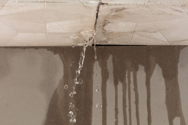 Professional Water Damage Inspection technician working in Mosherville, MI